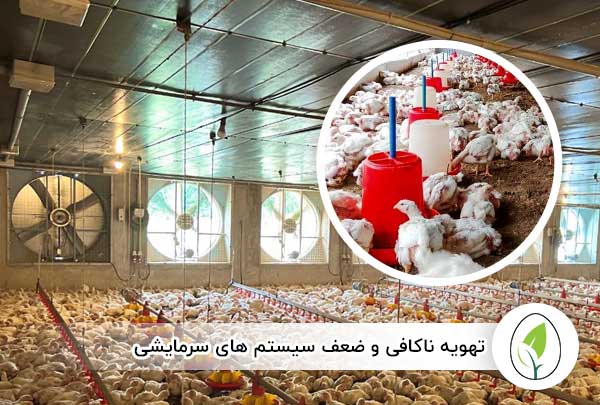 تهویه ناکافی و ضعف سیستم‌ های سرمایشی - چیکن هچ
