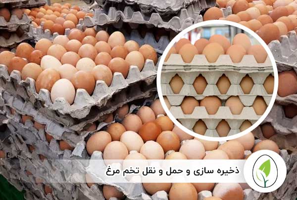 ذخیره ‌سازی و حمل‌ و نقل تخم ‌مرغ - چیکن هچ