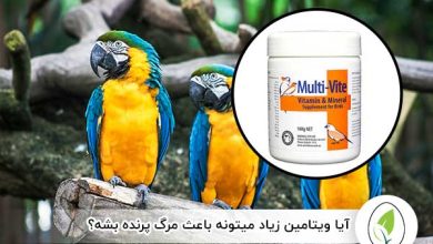آیا ویتامین زیاد میتونه باعث مرگ پرنده بشه؟ - چیکن هچ