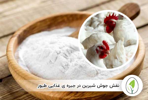 نقش جوش شیرین در جیره ی غذایی طیور - چیکن هچ