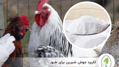 کاربرد جوش شیرین برای طیور - چیکن هچ