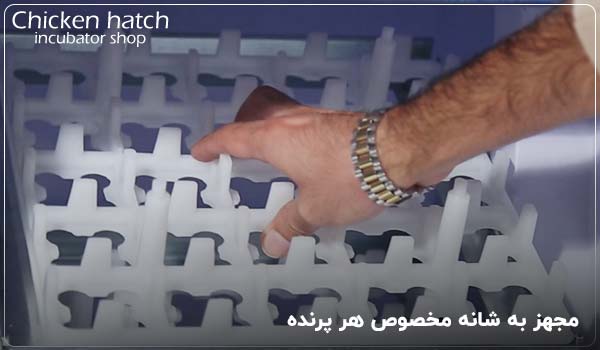 مجهز به شانه مخصوص هر پرنده - چیکن هچ
