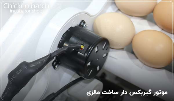 موتور گیربکس دار ساخت مالزی ایزی باتور چهار - چیکن هچ
