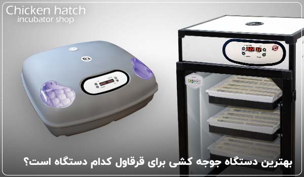 بهترین دستگاه جوجه کشی برای قرقاول کدام دستگاه است؟ - چیکن هچ
