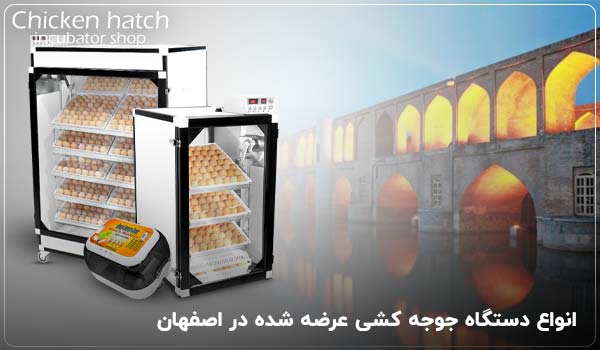 انواع دستگاه جوجه کشی عرضه شده توسط چیکن هچ در اصفهان - چیکن هچ