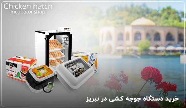 خرید دستگاه جوجه کشی در تبریز - چیکن هچ