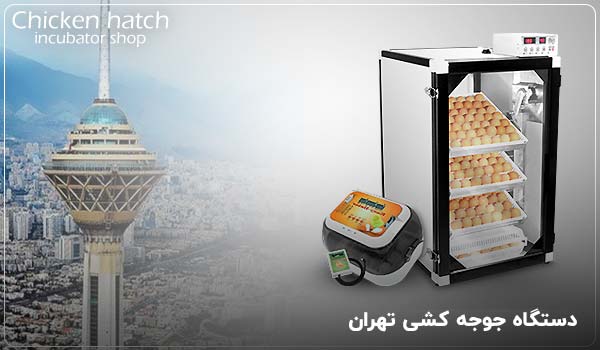 دستگاه جوجه کشی تهران - چیکن هچ