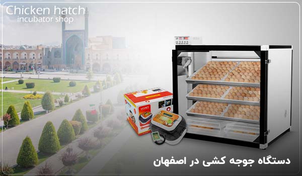 دستگاه جوجه کشی در اصفهان - چیکن هچ