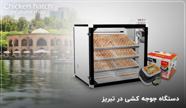 دستگاه جوجه کشی در تبریز - چیکن هچ