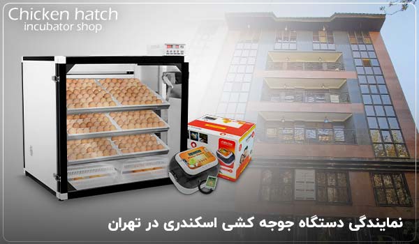 نمایندگی دستگاه جوجه کشی اسکندری در تهران - چیکن هچ