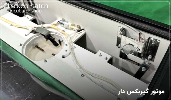 موتور گیربکس دار درنا چهار - چیکن هچ