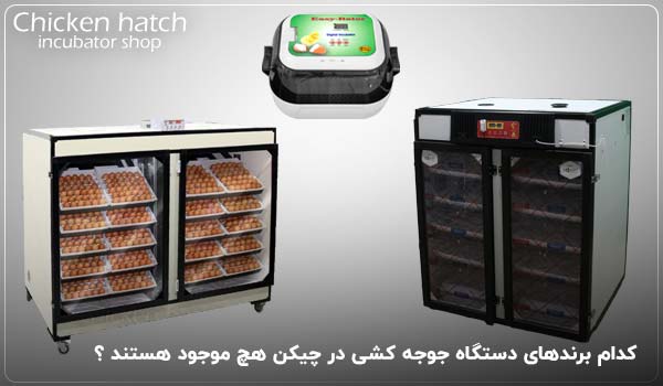 کدام برندهای دستگاه جوجه کشی در چیکن هچ موجود هستند