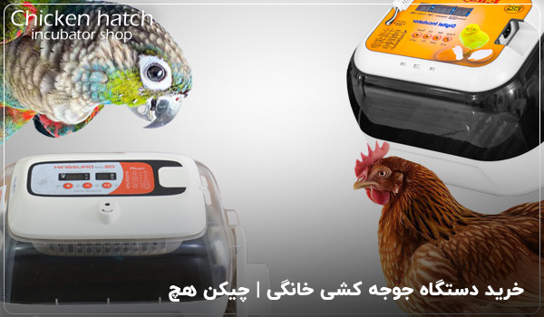 خرید دستگاه جوجه کشی خانگی - چیکن هچ