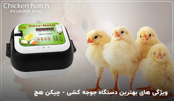 ویژگی های بهترین دستگاه جوجه کشی - چیکن هچ