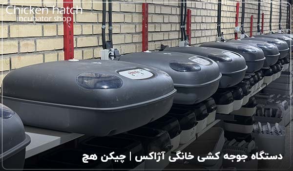 دستگاه جوجه کشی خانگی آژاکس - چیکن هچ